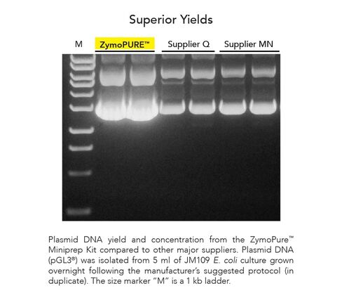 Zymo Research D4209 ZymoPURE Plasmid MiniPrep Kit (50 Preps) in Kuwait