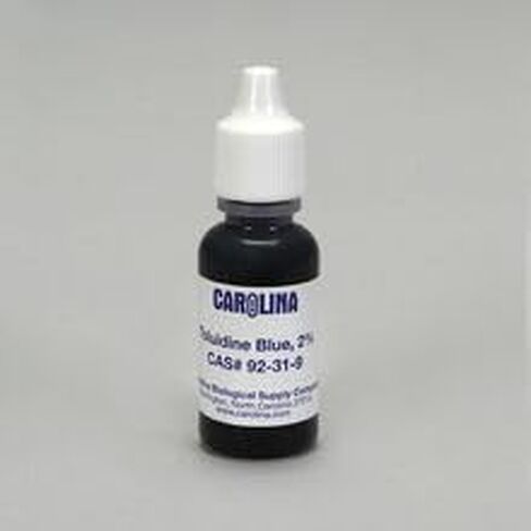 Toluidine Blue, 2%, 15 mL in Kuwait