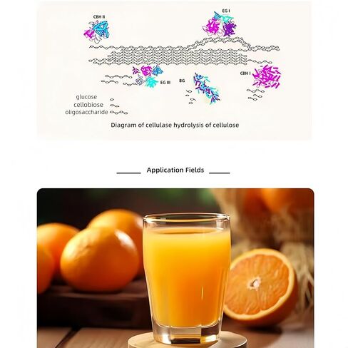 Cellulase Powder,CAS :9012-54-8 (100g/3.5oz) in Kuwait