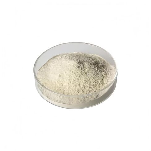 Cellulase Powder,CAS :9012-54-8 (100g/3.5oz) in Kuwait