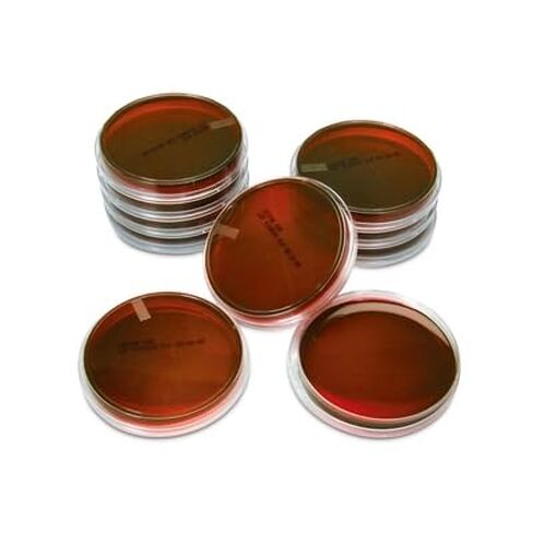Levine Eosin Methylene Blue Agar, Prepared Media Plates, 100 x 15 mm, Pack of 10 in Kuwait