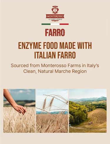 Farro Fermented Grain Enzyme Powder Sticks 2g x 30 – Korean Grain Powder Drink Mix, Convenient Single Stick Packs in Kuwait