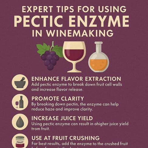 Pectic Enzyme 10 lb in Kuwait