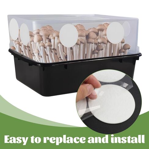 60 Pack 2.5" Mushroom Monotub Filter Patches Discs, 3mm Thick Round Synthetic Filter Paper Stickers for Mycology Growing Supplies, Fruiting Chamber Air Exchange Disks for Mushroom Cultivation in Kuwait