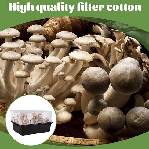60 Pack 2.5" Mushroom Monotub Filter Patches Discs, 3mm Thick Round Synthetic Filter Paper Stickers for Mycology Growing Supplies, Fruiting Chamber Air Exchange Disks for Mushroom Cultivation in Kuwait