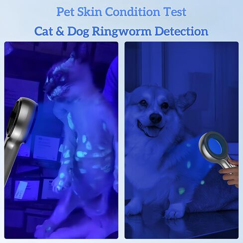 Woods Lamp Skin Analyzer, Easy to Hold and Carry Around, Woods Lamp Cat Ringworm, Detect All Kinds of Skin Conditions, No Special Training Required (2000 mAh Rechargeable Battery) in Kuwait