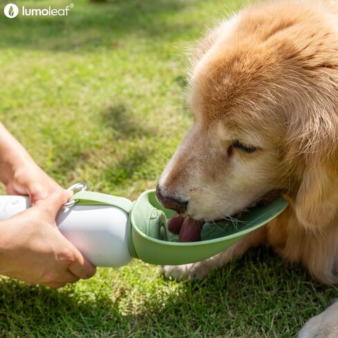 Lumoleaf معزول الكلب زجاجة مياه ماء 27 أوقية من الفولاذ المقاوم للصدأ - حافظ على الماء بارد أو دافئ ، وعاء مياه حيوان أليف محمولة للسفر ، ودليل تسرب على نطاق واسع لسهولة ملء الجليد وتنظيفه مياه الحيوانات الأليفة in Kuwait