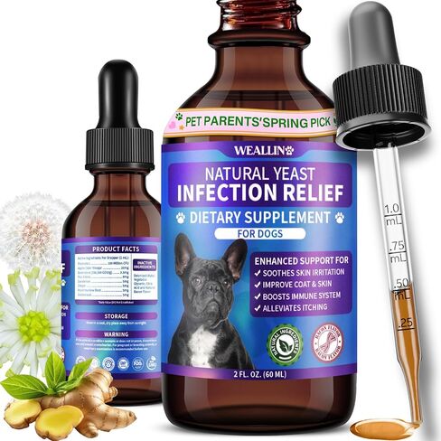 Natural Yeast Infection Treatment for Dogs | Probiotic-Powered Drops with 8-Herbal Blend | Supports Skin, Ears, Allergy Relief | Dog Yeast Infection Treatment Oral Supplement | Bacon-Flavored in Kuwait