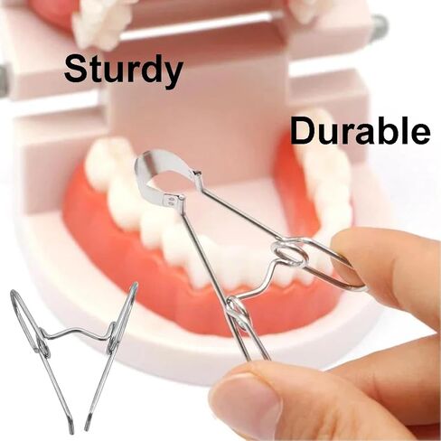 Dental Sectional Matrix System Band No1.330 with Resin Clamping/Seperating Spring Clip Assorted Sizes Soft Metal for Dental Restoration Tools in Kuwait