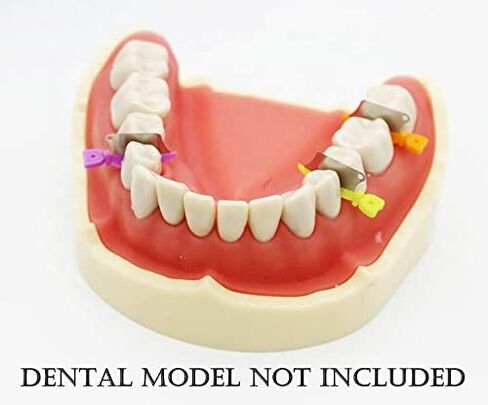 Dental Wedge Guard with Metal Plastic Knife and Protection Matrix for Teeth Interproximal Area 50pcs/box (SMALL) in Kuwait