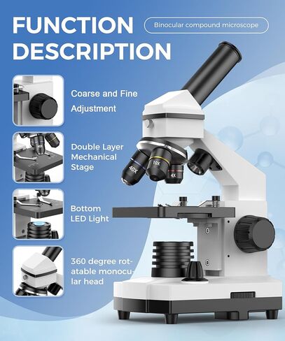 PalliPartners Compound Microscope for Adults & Students - 100X-2000X High-Power Biological Microscope for Students, School Lab & Home Education, with Slides Set & Phone Adapter (White) in Kuwait