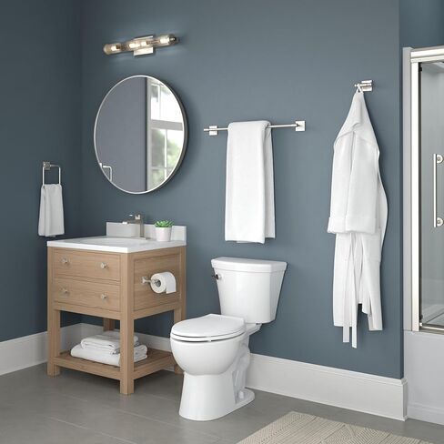 حامل ورق المرحاض Delta Faucet McLaren (عبوة واحدة)، نيكل مصقول SpotShield، تصميم أوروبي فردي مثبت على الحائط MCL50-BN in Saudi Arabia