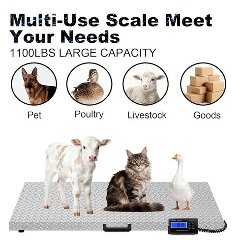 مقياس الماشية الرقمي 1100 رطل × 0.2 رطل من الفولاذ المقاوم للصدأ، ميزان منصة غير قابل للانزلاق، مقياس شحن بريدي إلكتروني شديد التحمل للحيوانات الأليفة الكبيرة، كلب الماعز، خنزير الماشية، الأغنام in Kuwait