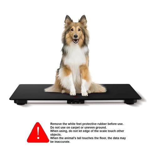 ميزان الكلاب البيطرية ذو السلالات المتوسطة من هيلسيفسن، مقياس رقمي للحيوانات الأليفة بمنصة من الزجاج المقوى مقاس 27.6 × 17.7 بوصة مع ملصق مضاد للانزلاق، سعة 330 رطل in Kuwait