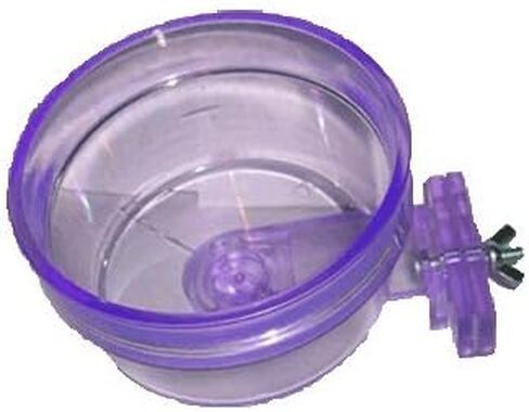 Lixit Cbb-20 Critter Brite Crock, Assorted colors, 20 Oz in Saudi Arabia