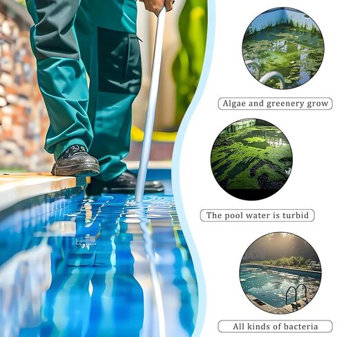 Copper Sulfate Crystals, 99.9% Pure 4 oz Copper Sulfate Powder, Cupric Sulfate, Pentahydrate Crystals, Reagent, Blue Vitriol for Roofs, Pools, Sidewalks in Kuwait