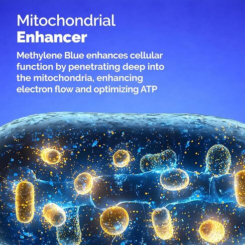 أزرق الميثيلين 99.9% جودة دوائية نقية - يدعم الطاقة والتركيز والوظيفة الإدراكية - تم اختباره بواسطة طرف ثالث، خالي من الفورمالديهايد والمعادن - 1% قطرات بدرجة دستور الأدوية الأمريكي - 60 وجبة in Kuwait