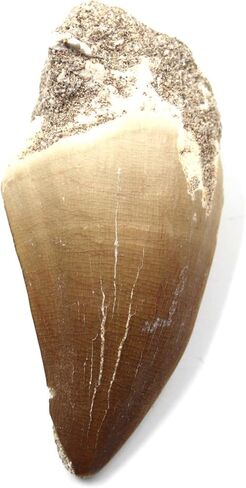 Felt Mounted Bobs, MP-5, Hard, Item No. 17.228 in Saudi Arabia