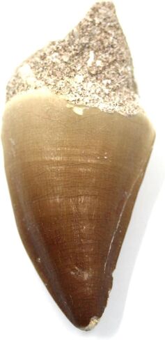 Felt Mounted Bobs, MP-5, Hard, Item No. 17.228 in Saudi Arabia