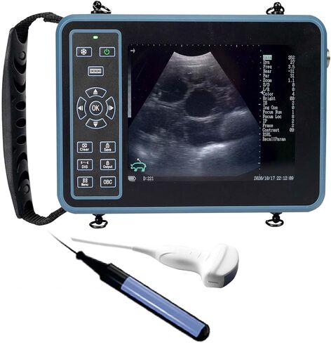 DAWEI Vet Ultrasound Machine for Pregnancy Veterinary Ultrasound Scanner with 3.5Mhz Convex Probe for Sheep，Goat,Pig in Kuwait