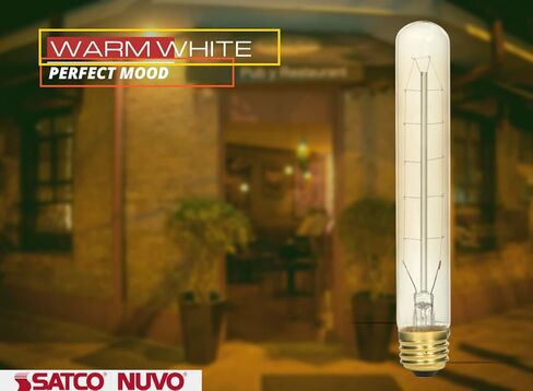 Satco 60 Watt T9 Incandescent; Clear; 3000 Average Rated Hours; 230 Lumens; Medium Base; 120 Volt for Pendant Lighting Fixtures, Decorative for Dining Room, Studio, Lounge, Restaurants (6 Pack) in Saudi Arabia