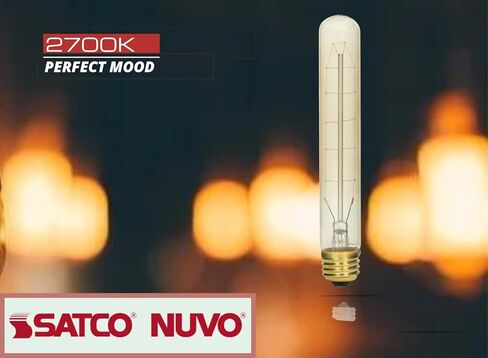 Satco 60 Watt T9 Incandescent; Clear; 3000 Average Rated Hours; 230 Lumens; Medium Base; 120 Volt for Pendant Lighting Fixtures, Decorative for Dining Room, Studio, Lounge, Restaurants (6 Pack) in Saudi Arabia