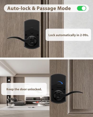 Keypad Door Lock with Handle, Electronic Keyless Entry Door Lock with Code, Smart Locks for Front Door, Easy Passage Mode, Auto Lock, Matte Black in Saudi Arabia