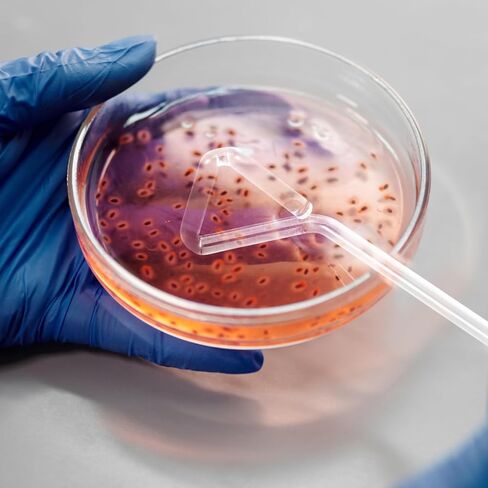 4 قطع من قضبان توزيع الخلايا الزجاجية من Veemoon، قضبان طلاء المختبر، قضبان طلاء طبق بيتري، قضبان توزيع الخلايا الاحترافية من أجل تجربة علمية موثوقة للنشر in Kuwait