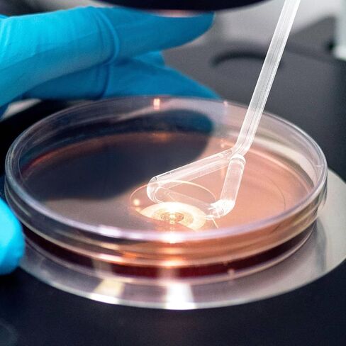 4 قطع من قضبان توزيع الخلايا الزجاجية من Veemoon، قضبان طلاء المختبر، قضبان طلاء طبق بيتري، قضبان توزيع الخلايا الاحترافية من أجل تجربة علمية موثوقة للنشر in Kuwait