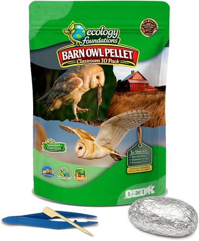 حبيبات بومة الحظيرة للفصل الدراسي 10 عبوات (متوسطة) - مجموعة تشريح للبيئة والعلوم والتكنولوجيا والهندسة والرياضيات - تتضمن ملقط ومعاول ودليل المعلم - نشاط علمي عملي in Kuwait