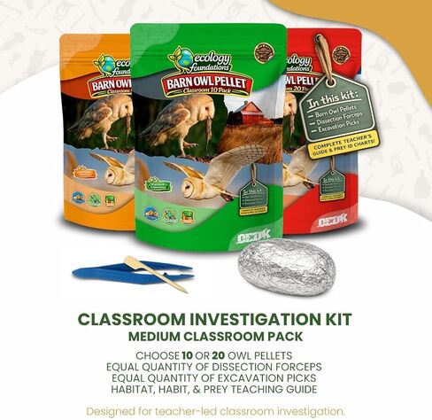 حبيبات بومة الحظيرة للفصل الدراسي 10 عبوات (متوسطة) - مجموعة تشريح للبيئة والعلوم والتكنولوجيا والهندسة والرياضيات - تتضمن ملقط ومعاول ودليل المعلم - نشاط علمي عملي in Kuwait