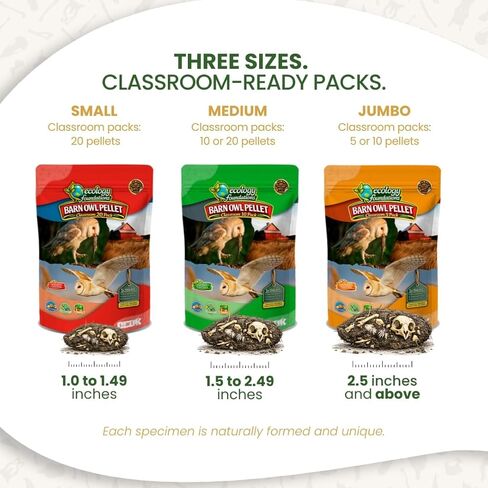 حبيبات بومة الحظيرة للفصل الدراسي 10 عبوات (متوسطة) - مجموعة تشريح للبيئة والعلوم والتكنولوجيا والهندسة والرياضيات - تتضمن ملقط ومعاول ودليل المعلم - نشاط علمي عملي in Kuwait