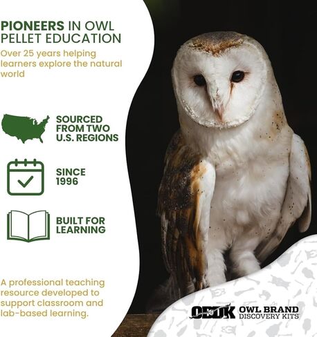 حبيبات بومة الحظيرة للفصل الدراسي 10 عبوات (متوسطة) - مجموعة تشريح للبيئة والعلوم والتكنولوجيا والهندسة والرياضيات - تتضمن ملقط ومعاول ودليل المعلم - نشاط علمي عملي in Kuwait