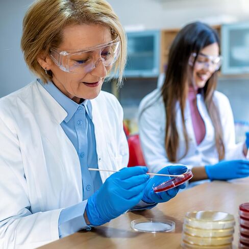 Homoyoyo 10PCS 70mm Agar Plates Petri Dishes with Agar, Agar Petri Dishes Individually Sealed for Students Science Kit Laboratory Experiment Prepoured Supplies Sealed Separately in Kuwait