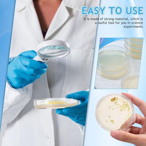 Homoyoyo 10PCS 70mm Agar Plates Petri Dishes with Agar, Agar Petri Dishes Individually Sealed for Students Science Kit Laboratory Experiment Prepoured Supplies Sealed Separately in Kuwait