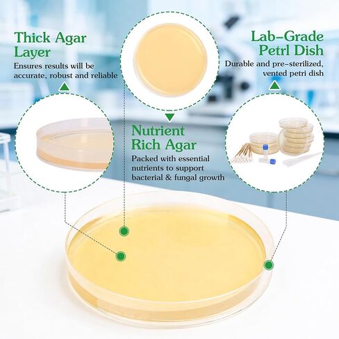 Nutrient Agar Petri Dishes Bacteria Science Project Kit | Pre-Poured Agar Plates and Cotton Swabs for Science Experiments | Bacteria Science Kit-10PCS in Saudi Arabia