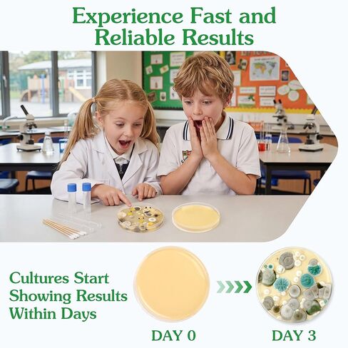 Nutrient Agar Petri Dishes Bacteria Science Project Kit | Pre-Poured Agar Plates and Cotton Swabs for Science Experiments | Bacteria Science Kit-10PCS in Saudi Arabia