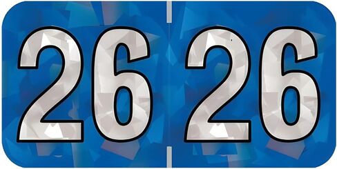 2025 Year Stickers, Doctor Stuff 2025 Chart Stickers, Holographic Blue Colored, USA Made Year Labels for End Tab File Folders, 500 Labels per Roll, 1 Roll, 3/4" x 1-1/2" in Kuwait