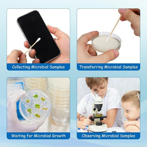 Angoily 10Pcs Science Prepoured Agar Plates, 2. 75 Inch Petri Dishes with Agar, Sterilized, for Science Experiments, Thick Clear Petri Dishes for Laboratory in Kuwait