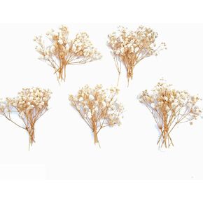 50 pcs Mini Dried Purple Baby Breath Flower Purple Dried Flower for Crafts Press Flowers Wedding Wreath Decoration Gift Card Decor Floral