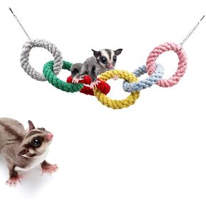Dnoifne Sugar Glider Hanging Six-Ring Climbing Toys, Colorful Sugar Glider Swing Toys, Sugar Glider Hamster Rats Toys, Cage Accessories for Sugar Glider Ferret Hamster Squirrel Chinchilla Parrots