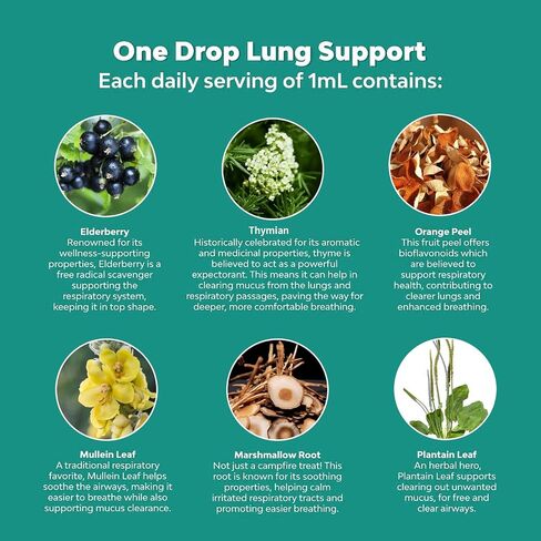 2 Pack Mullein Leaf Extract - Support Lung Cleanse,Tincture Drops | Non-GMO, Vegetarian - Support Lung Cleanse & Respiratory Function for Healthy Breathing in Saudi Arabia