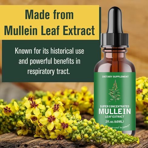 2 Pack Mullein Leaf Extract - Support Lung Cleanse,Tincture Drops | Non-GMO, Vegetarian - Support Lung Cleanse & Respiratory Function for Healthy Breathing in Saudi Arabia
