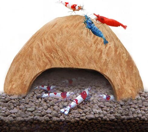 SunGrow Coconut Aquarium Shrimp Cave, Small Fish Tank Aquarium Decorations Accessories, Comfortable Shelter and Breeding Area for Crustaceans, Fish Hideout Aquarium Décor for Spawning in Saudi Arabia
