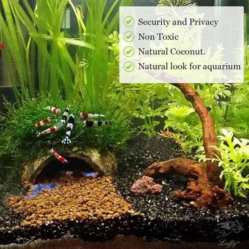 SunGrow Coconut Aquarium Shrimp Cave, Small Fish Tank Aquarium Decorations Accessories, Comfortable Shelter and Breeding Area for Crustaceans, Fish Hideout Aquarium Décor for Spawning in Saudi Arabia