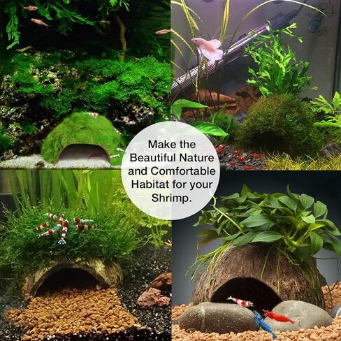SunGrow Coconut Aquarium Shrimp Cave, Small Fish Tank Aquarium Decorations Accessories, Comfortable Shelter and Breeding Area for Crustaceans, Fish Hideout Aquarium Décor for Spawning in Saudi Arabia