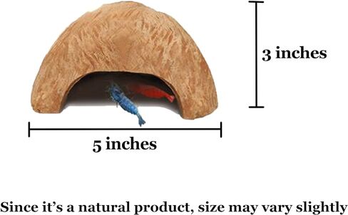 SunGrow Coconut Aquarium Shrimp Cave, Small Fish Tank Aquarium Decorations Accessories, Comfortable Shelter and Breeding Area for Crustaceans, Fish Hideout Aquarium Décor for Spawning in Saudi Arabia