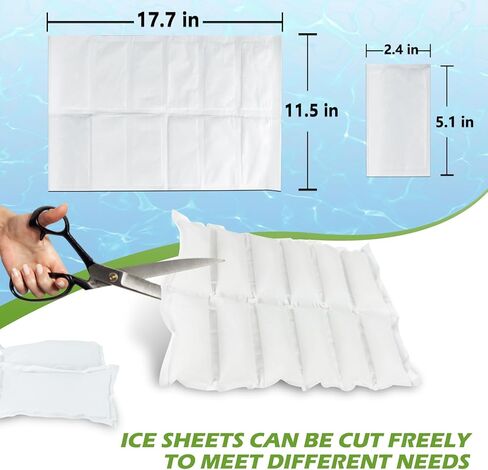 Dry Ice Pack for Shipping & Coolers Frozen Food,Reusable Cold Compress Bag,Flexible ice Pack Sheets,Versatile Cold Blanket,Leakproof Long Lasting Dry Ice Pack (48Packs - 4 Large) in Kuwait