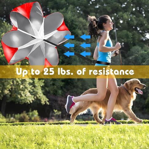 Football Speed Agility Training Set Agility Ladder and Resistance Parachute Football Training Equipment Footwork Drills for Kids and Adults in Kuwait