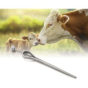 برغي موسع الحلمة من الفولاذ المقاوم للصدأ بطول 13 سم، سهل الاستخدام لجميع الماشية، أداة بيطرية. in Kuwait